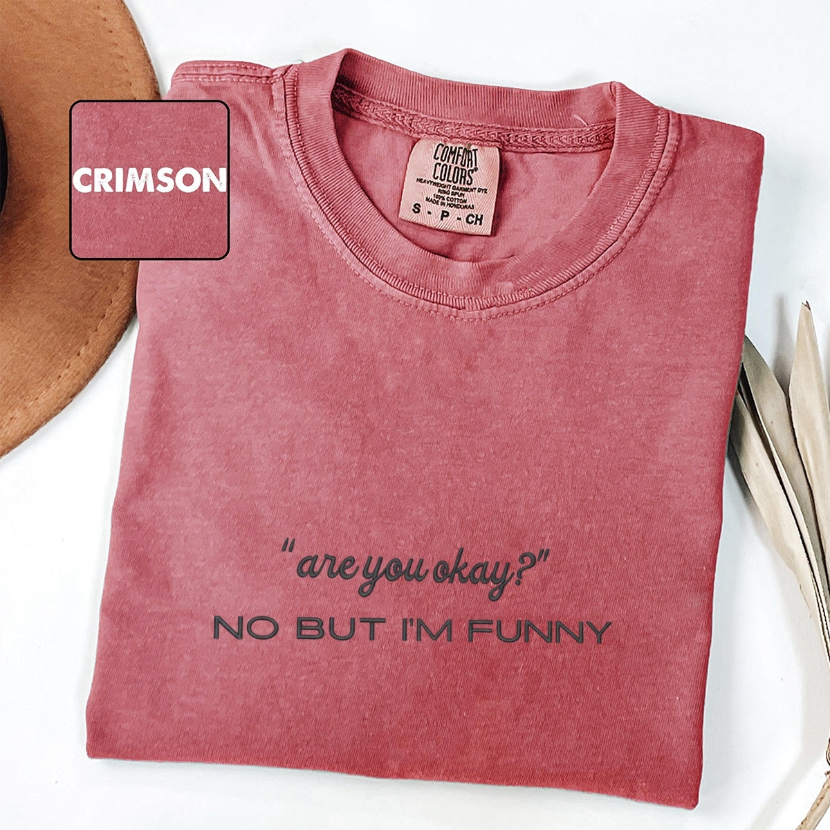 Custom Embroidered Are You Okay? T-Shirt | Funny Mental Health Quote Tee – Sarcastic Humor Gift for Women