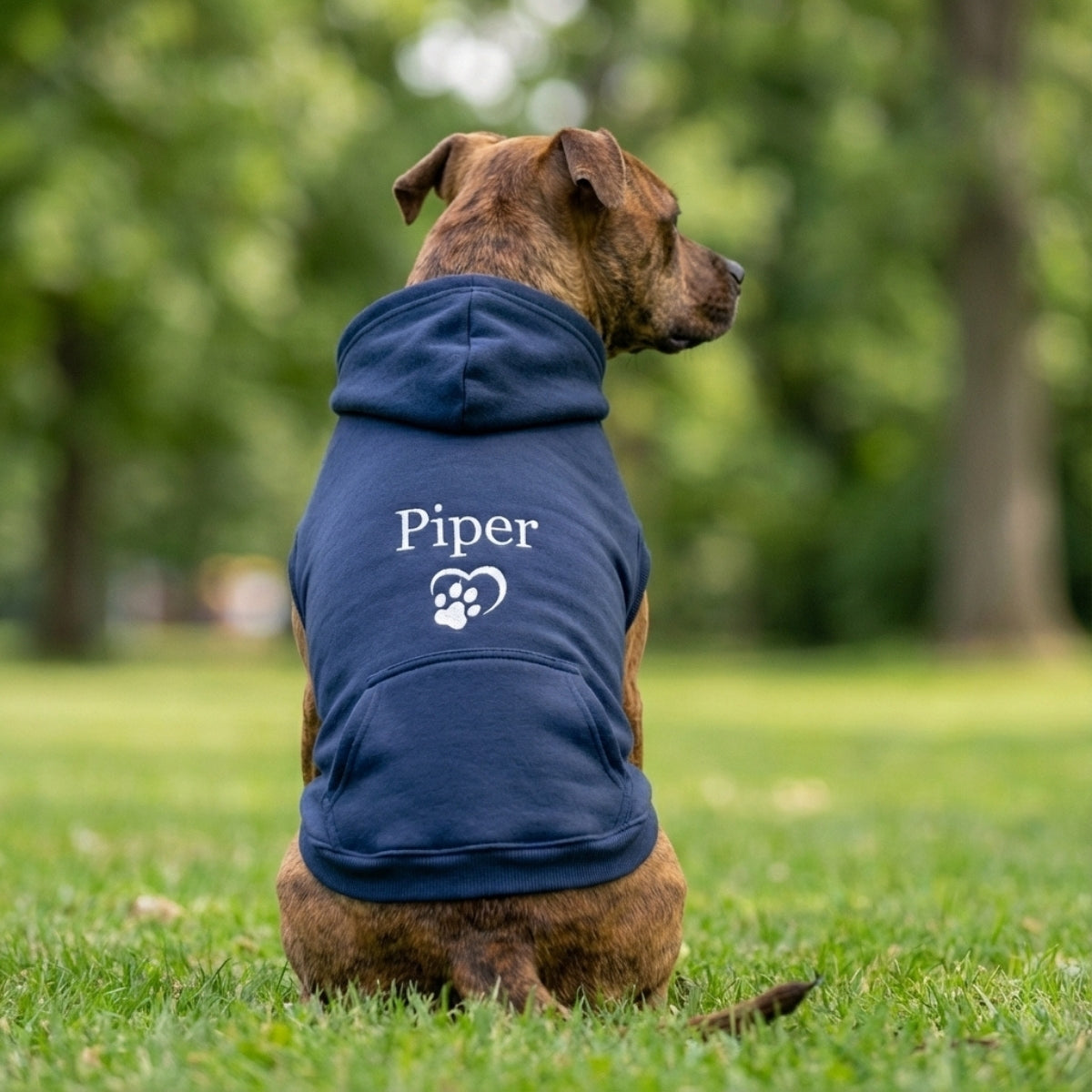 Sweats à capuche assortis brodés personnalisés avec ange et chat démon pour couples