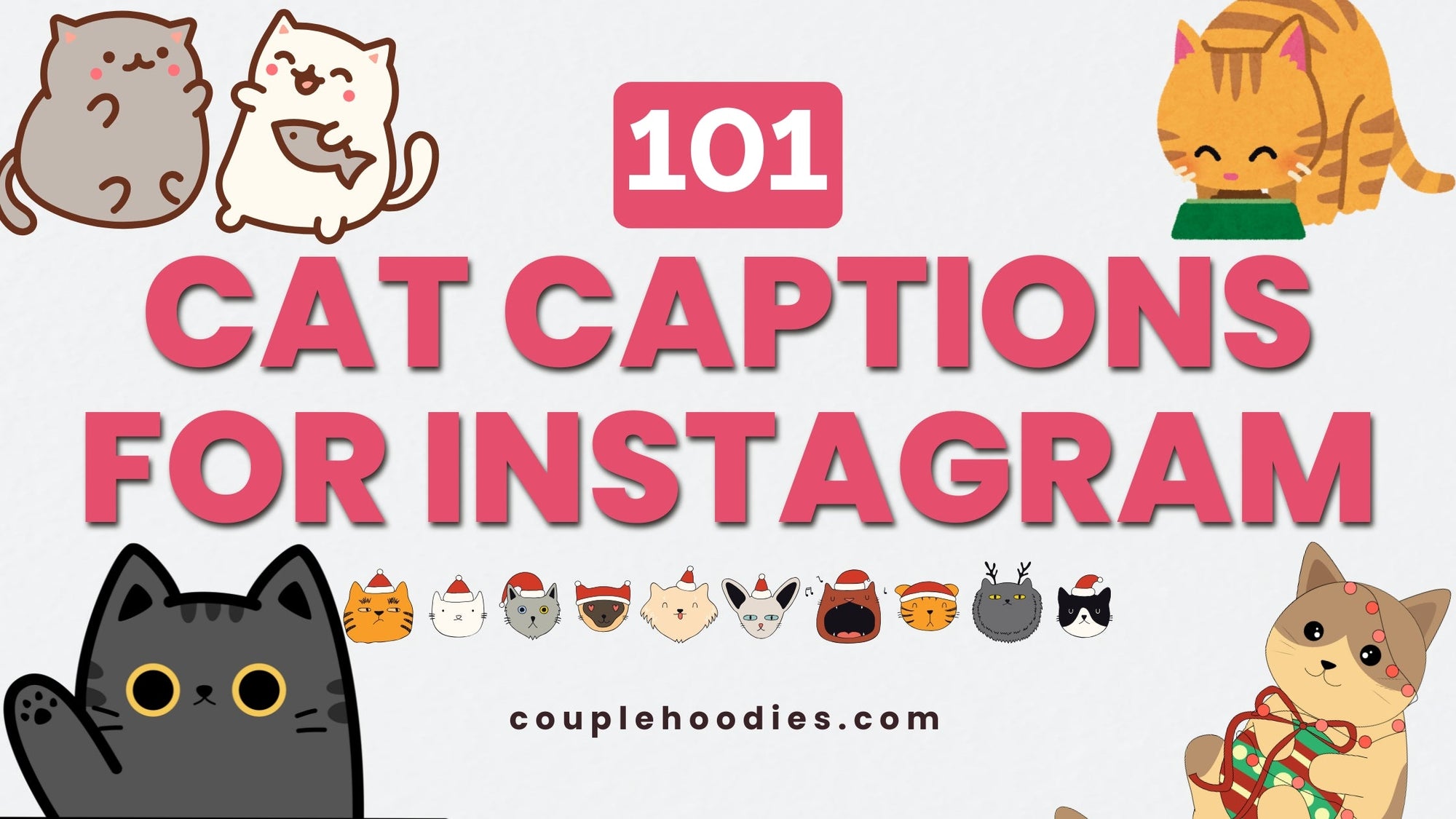 Cat Captions For Instagram To Praise Your Furry Boss