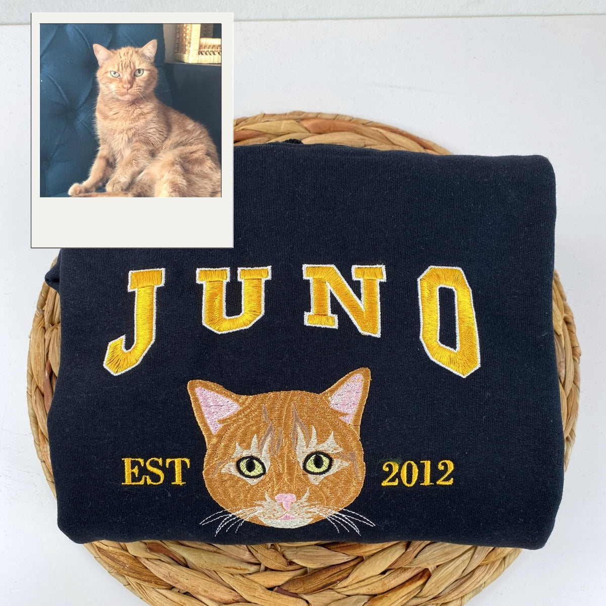 Cat Varsity Hoodies Custom - Pet Portrait Collegiate Style Embroidery - Personalized Cat Team Apparel