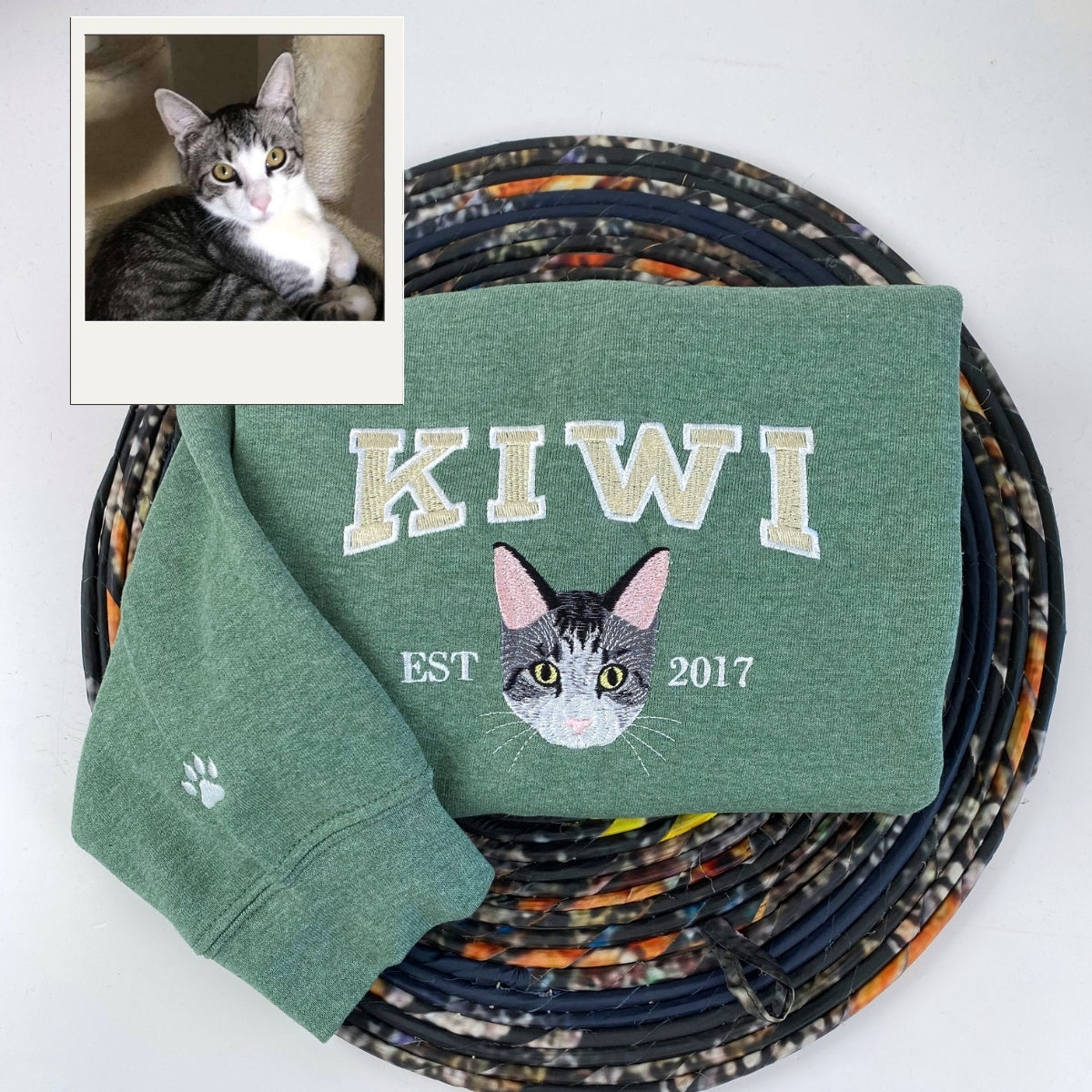 Cat Varsity Hoodies Custom - Pet Portrait Collegiate Style Embroidery - Personalized Cat Team Apparel