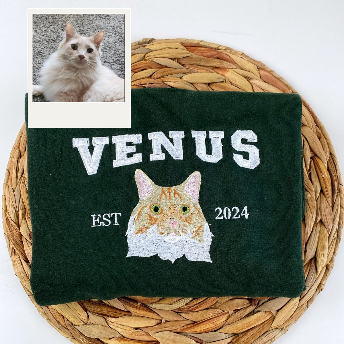 Cat Varsity Hoodies Custom - Pet Portrait Collegiate Style Embroidery - Personalized Cat Team Apparel