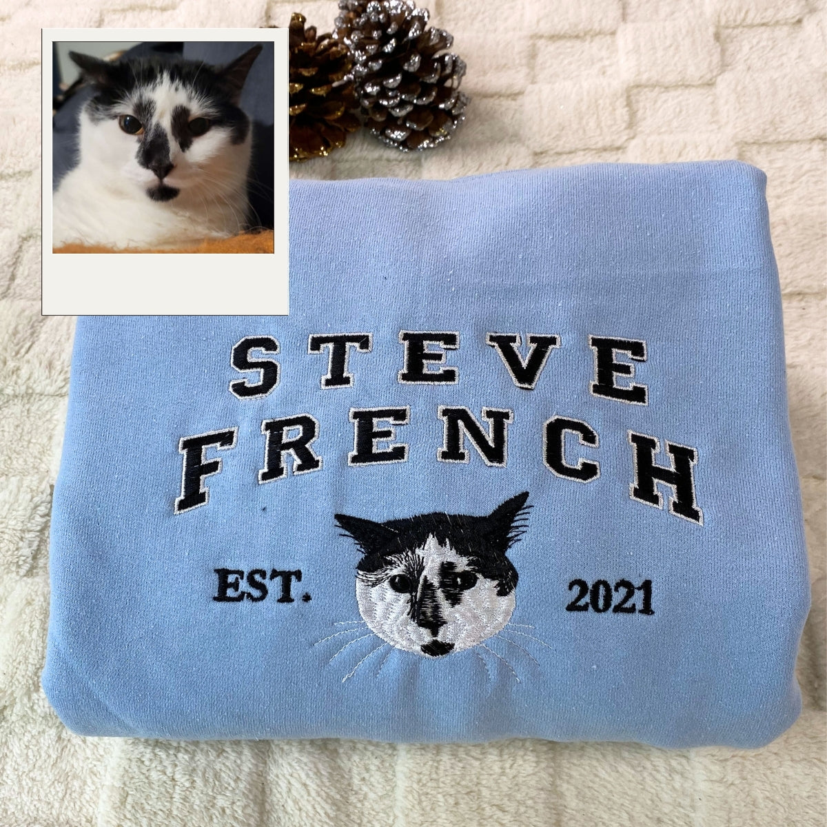 Cat Varsity Hoodies Custom - Pet Portrait Collegiate Style Embroidery - Personalized Cat Team Apparel
