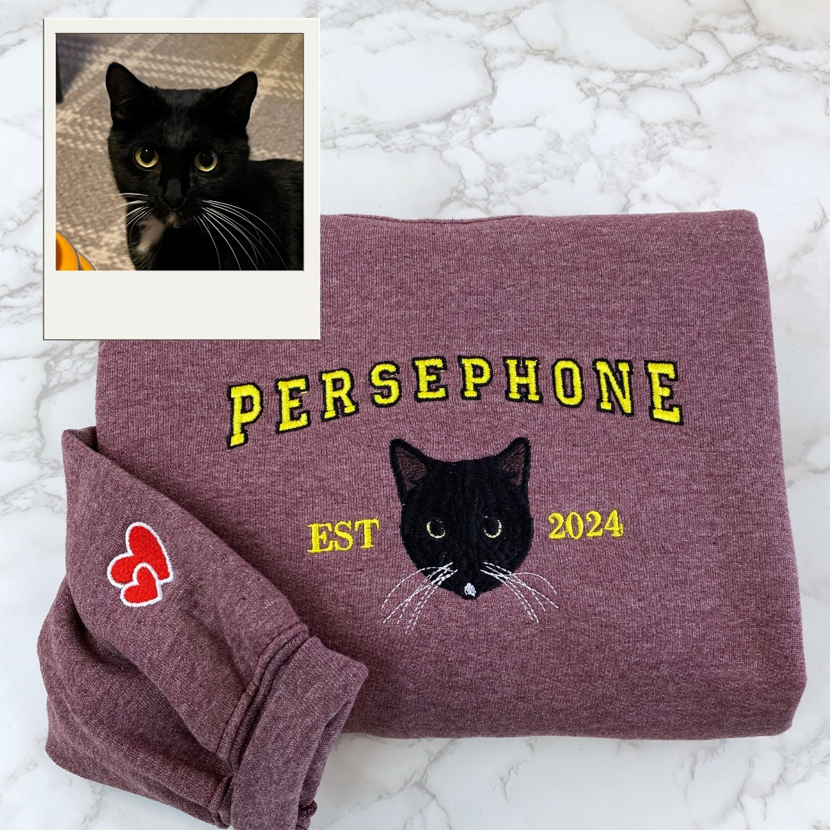 Custom Cat Portrait Hoodies - Varsity Pet Embroidered Sweatshirts - Cat Lover Gift