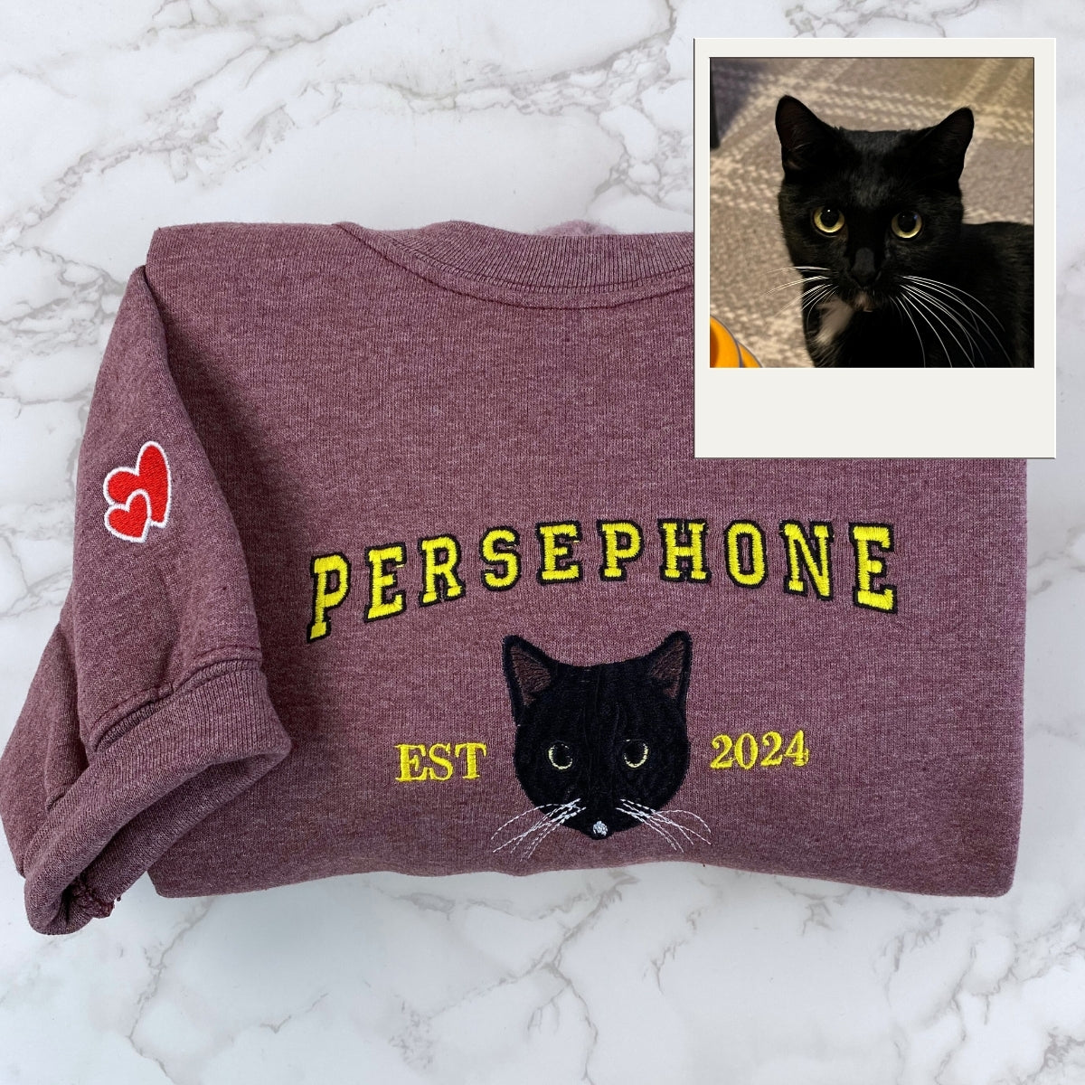 Custom Cat Portrait Varsity Hoodies - Personalized Pet Name Embroidery - Cat Mom Varsity Style Gift