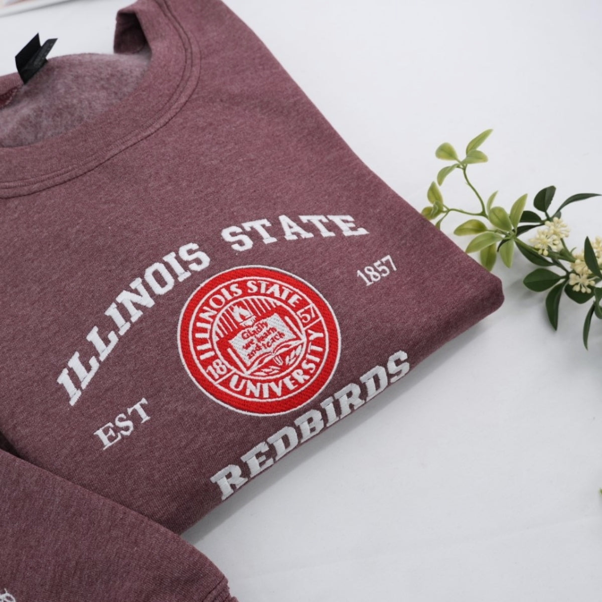 Custom University Hoodies - College School Spirit Embroidered Sweatshirts - Perfect Alumni Gift