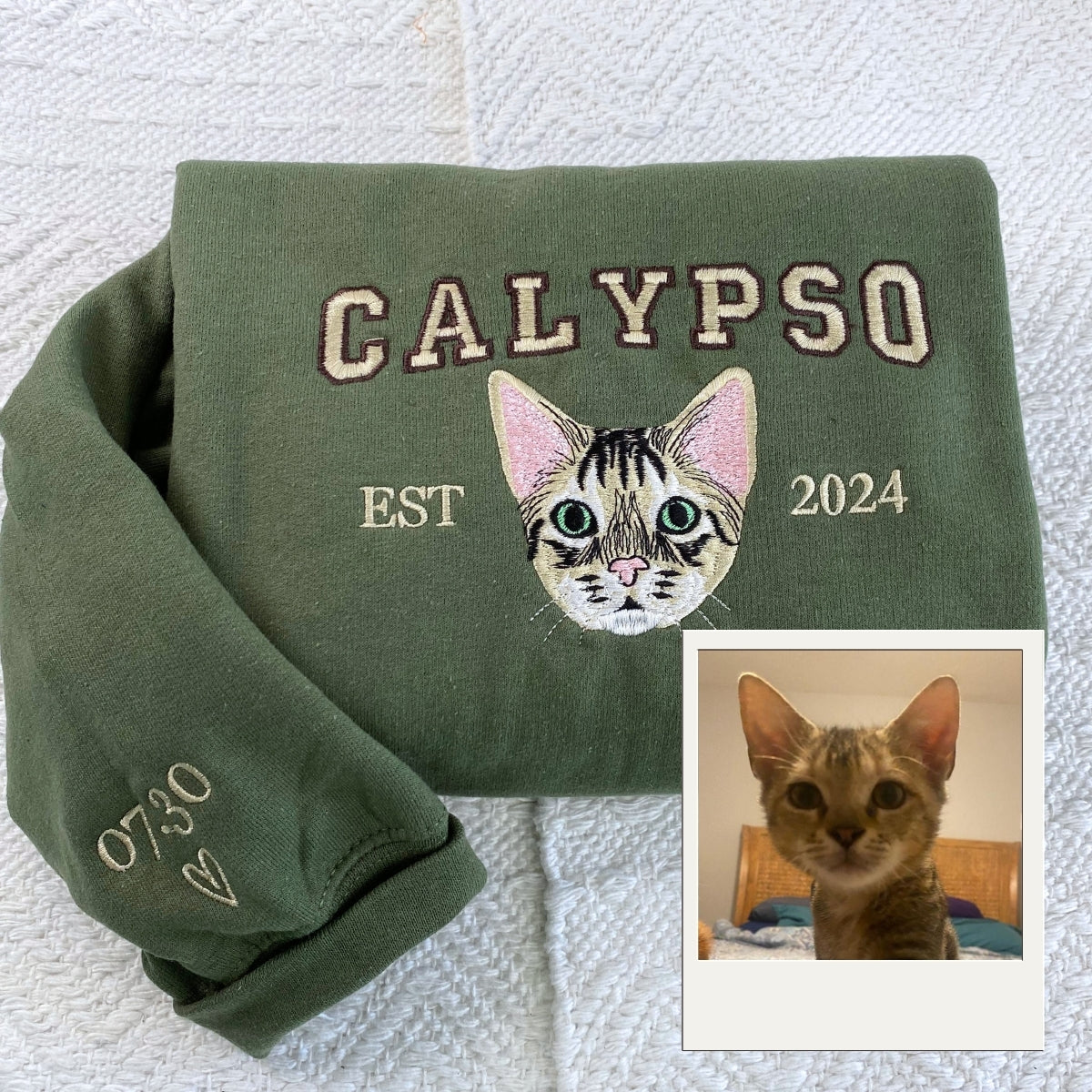 Pet Portrait Varsity Hoodies - Custom Cat Face Embroidery with Name - Collegiate Cat Lover Apparel