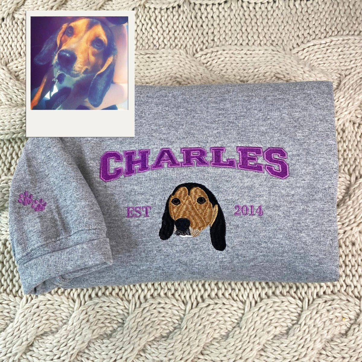 Varsity Pet Portrait Hoodies - Custom Dog Face Embroidered Sweatshirts - Pet Lover Gifts for Dog Moms & Dads