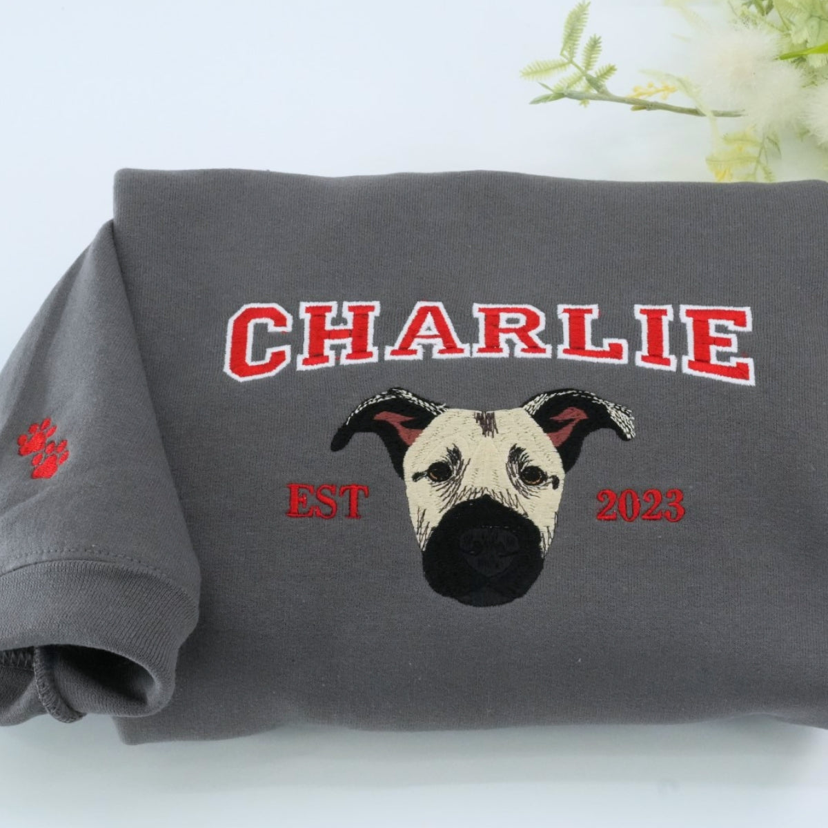 Varsity Pet Portrait Hoodies - Custom Dog Name Embroidered University Style Sweatshirts - College Pet Gift